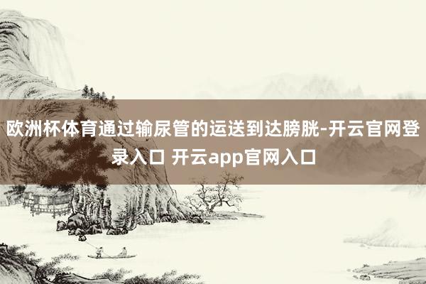 欧洲杯体育通过输尿管的运送到达膀胱-开云官网登录入口 开云app官网入口