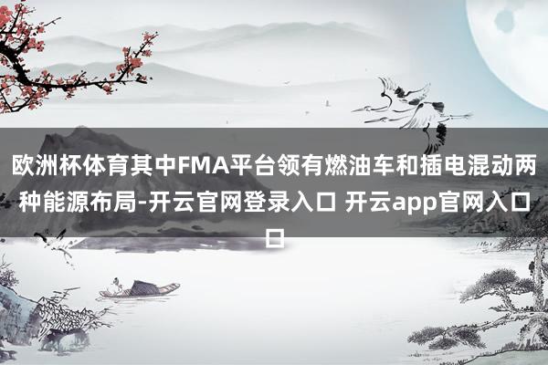 欧洲杯体育其中FMA平台领有燃油车和插电混动两种能源布局-开云官网登录入口 开云app官网入口